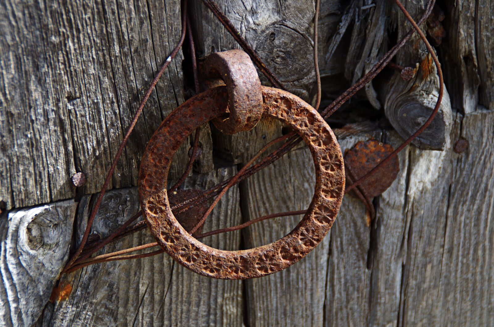 Pentax K-30 sample photo. Wood, old, rusty photography