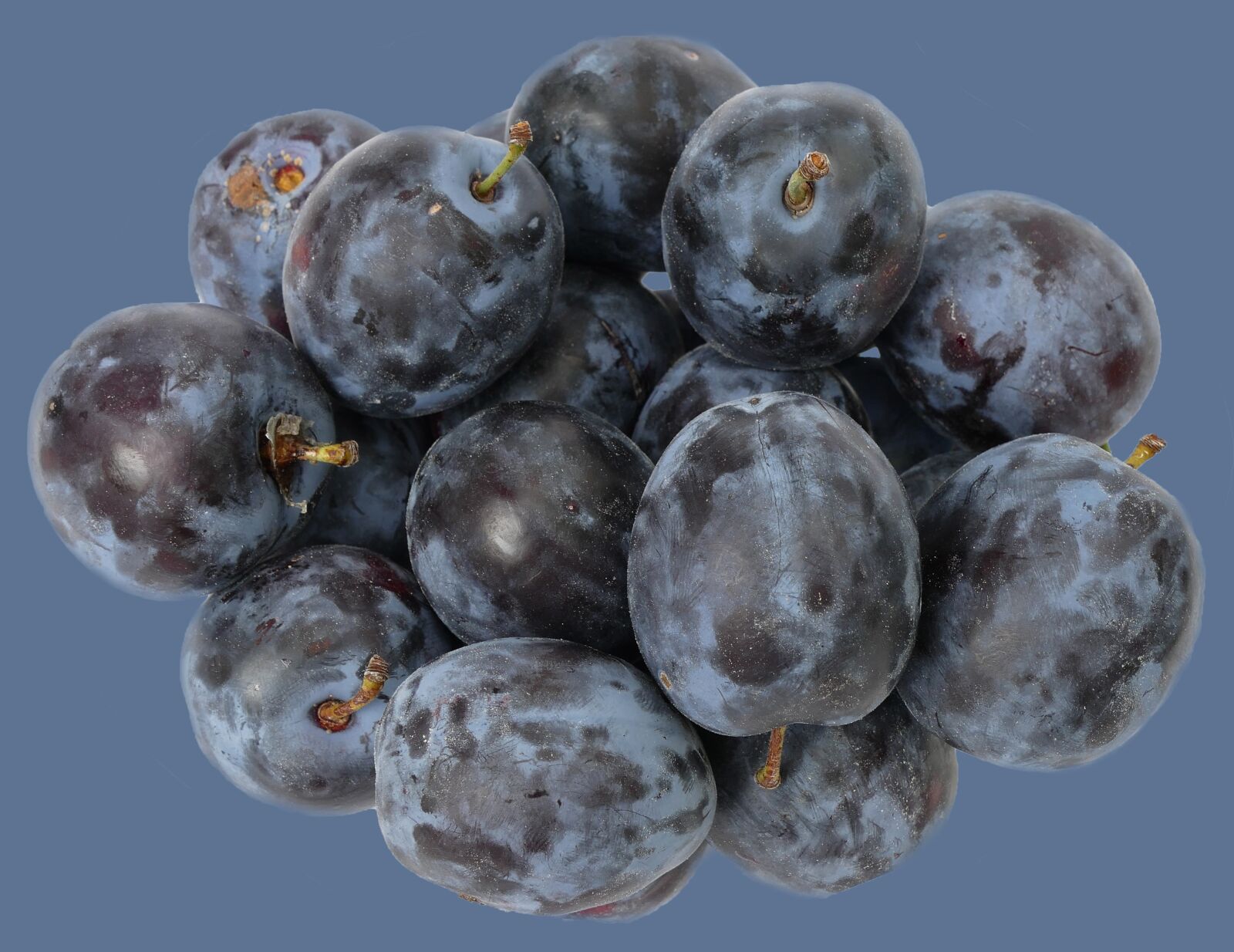 Panasonic Lumix DMC-FZ1000 sample photo. Plum, fruit, stone fruit photography