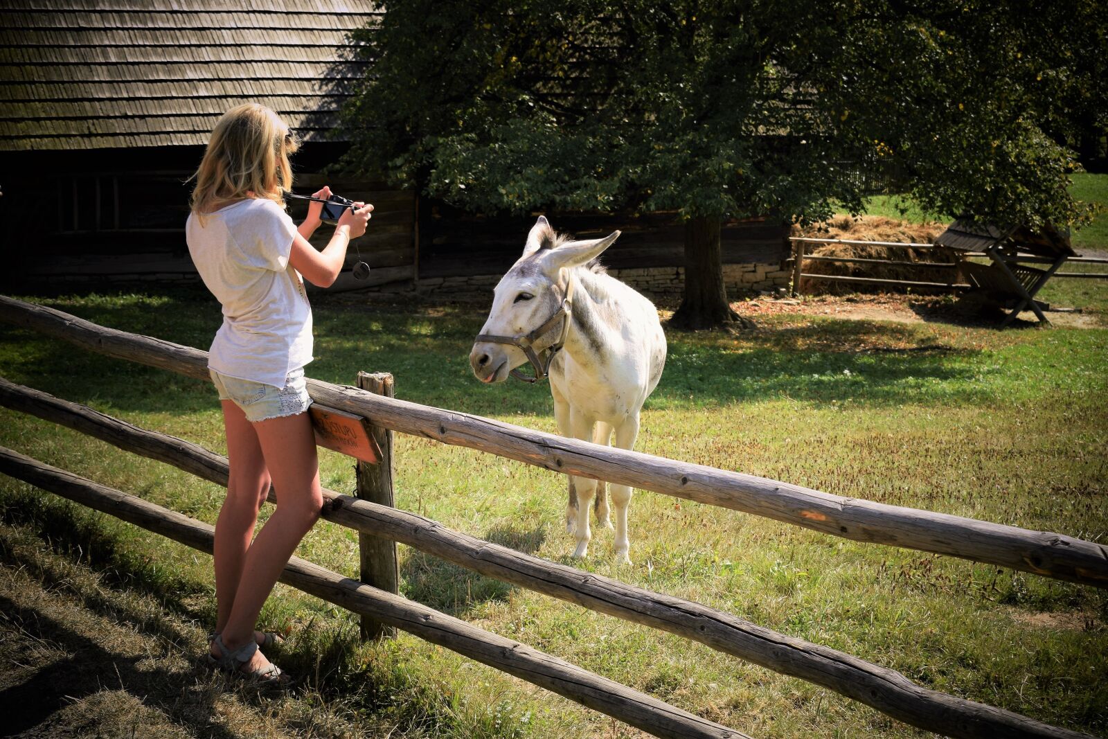 Nikon D3300 sample photo. Girl, the photo shoot photography