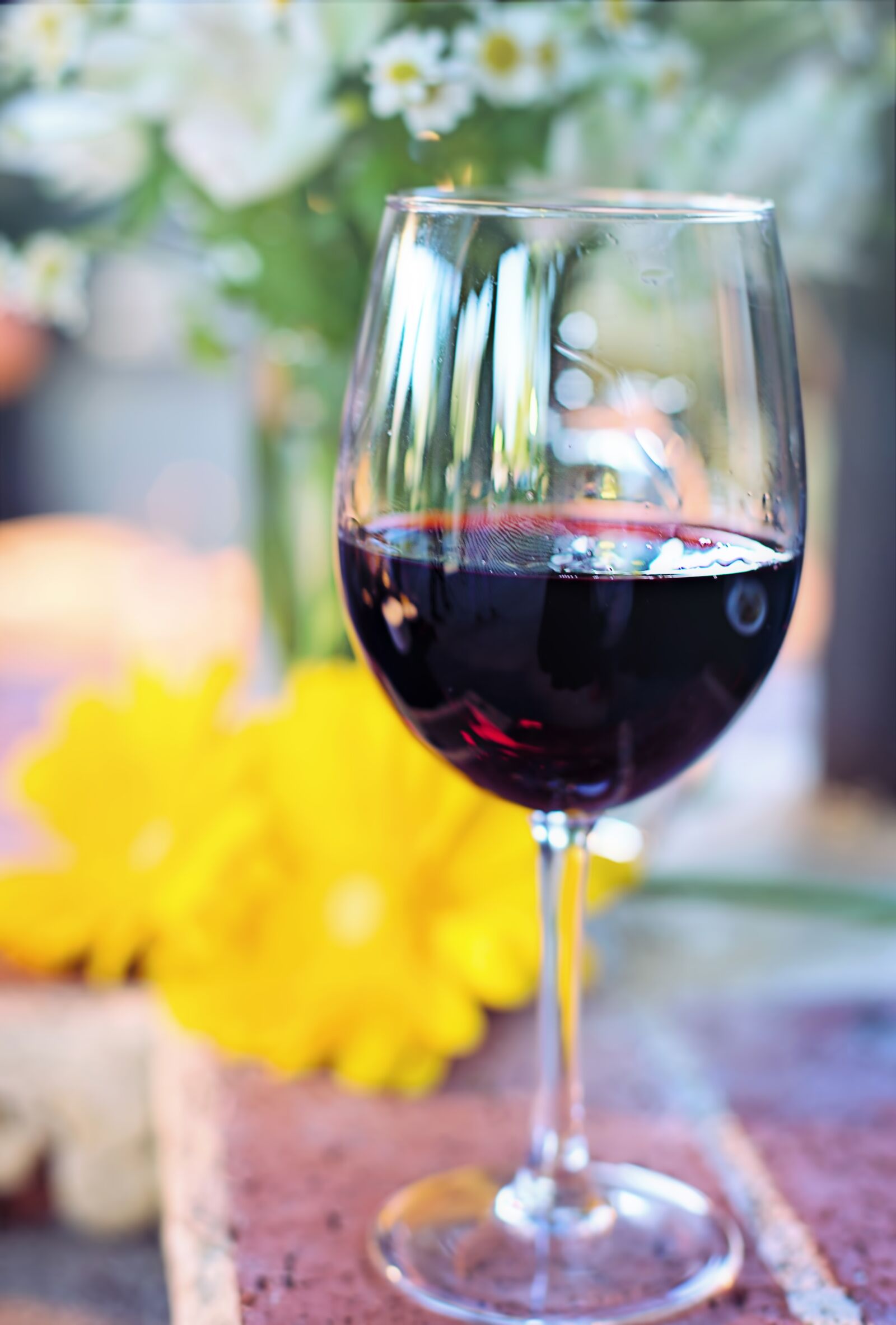 Canon EF 50mm F1.4 USM sample photo. Glass of wine, red photography
