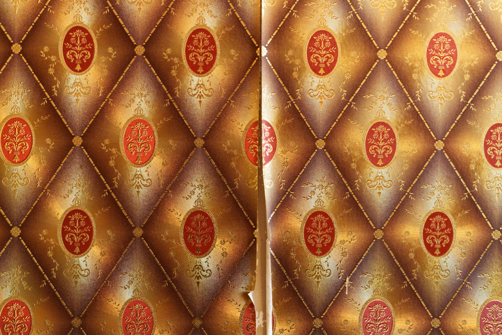 Sony a7R V sample photo. Old wallpaper photography