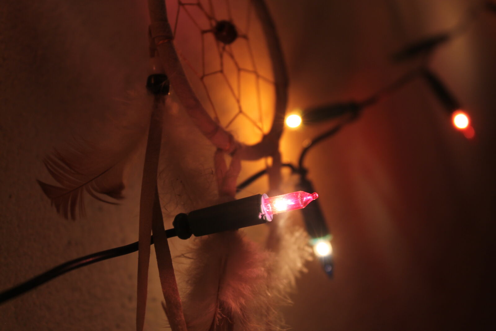 Canon EOS 1100D (EOS Rebel T3 / EOS Kiss X50) sample photo. Feathers, lights photography