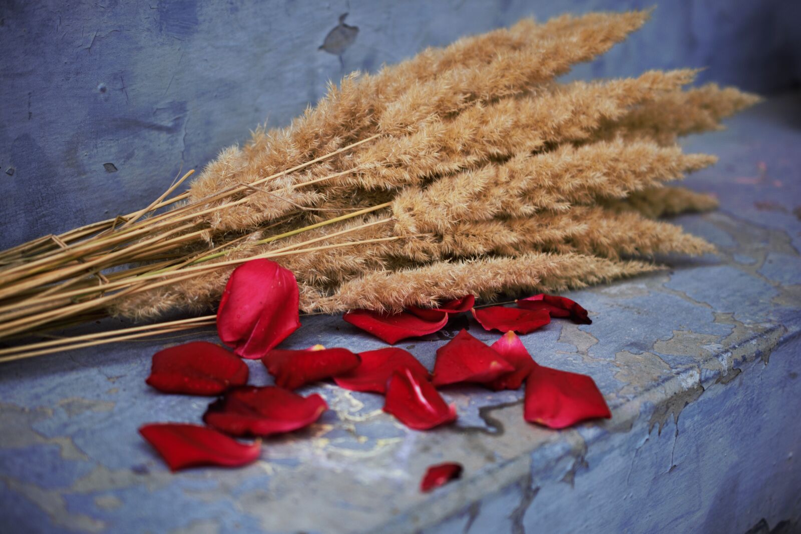 Nikon D5300 sample photo. Red petals, rose, bouquet photography