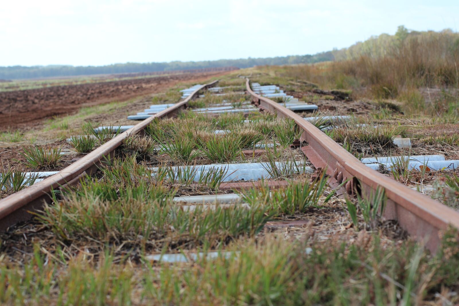 Canon EOS 600D (Rebel EOS T3i / EOS Kiss X5) + Canon EF 50mm F1.4 USM sample photo. Railway rails, rails, track photography