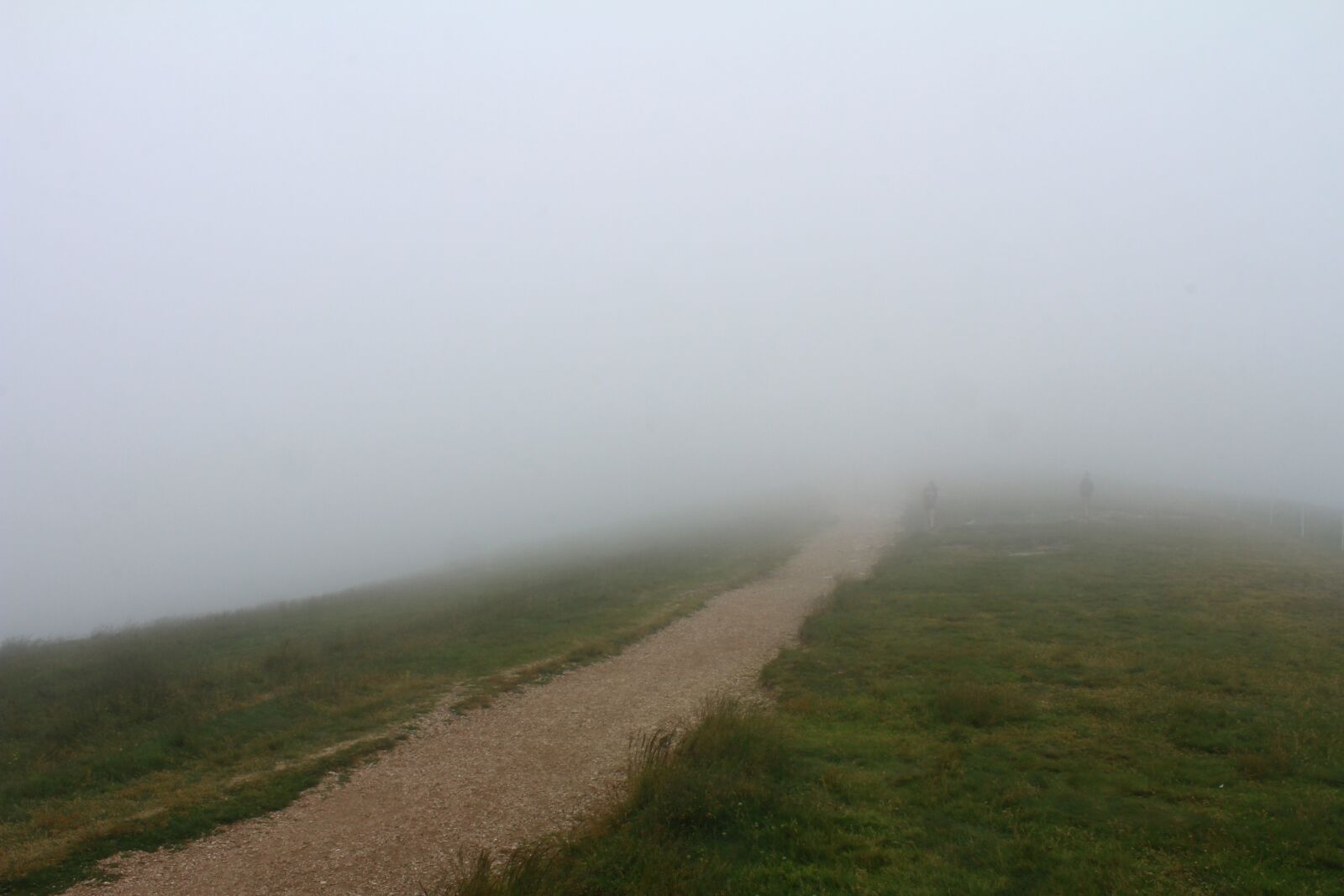 Canon EOS 600D (Rebel EOS T3i / EOS Kiss X5) sample photo. The path, grass, fog photography
