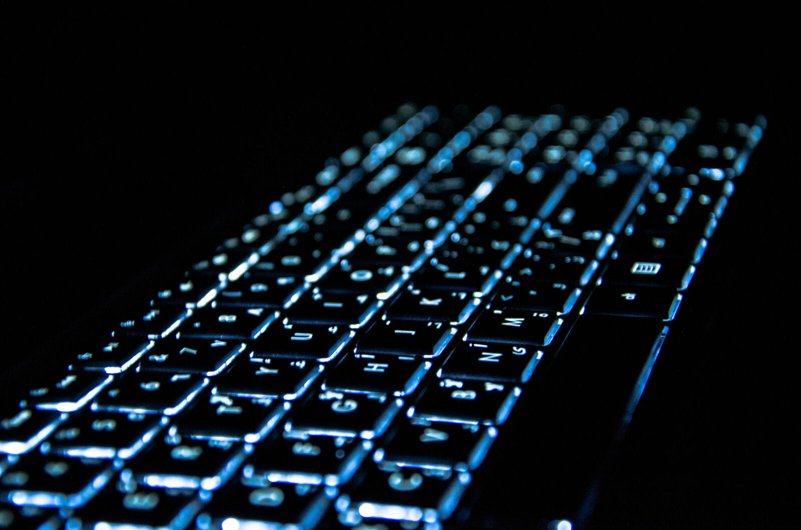 Nikon D5100 sample photo