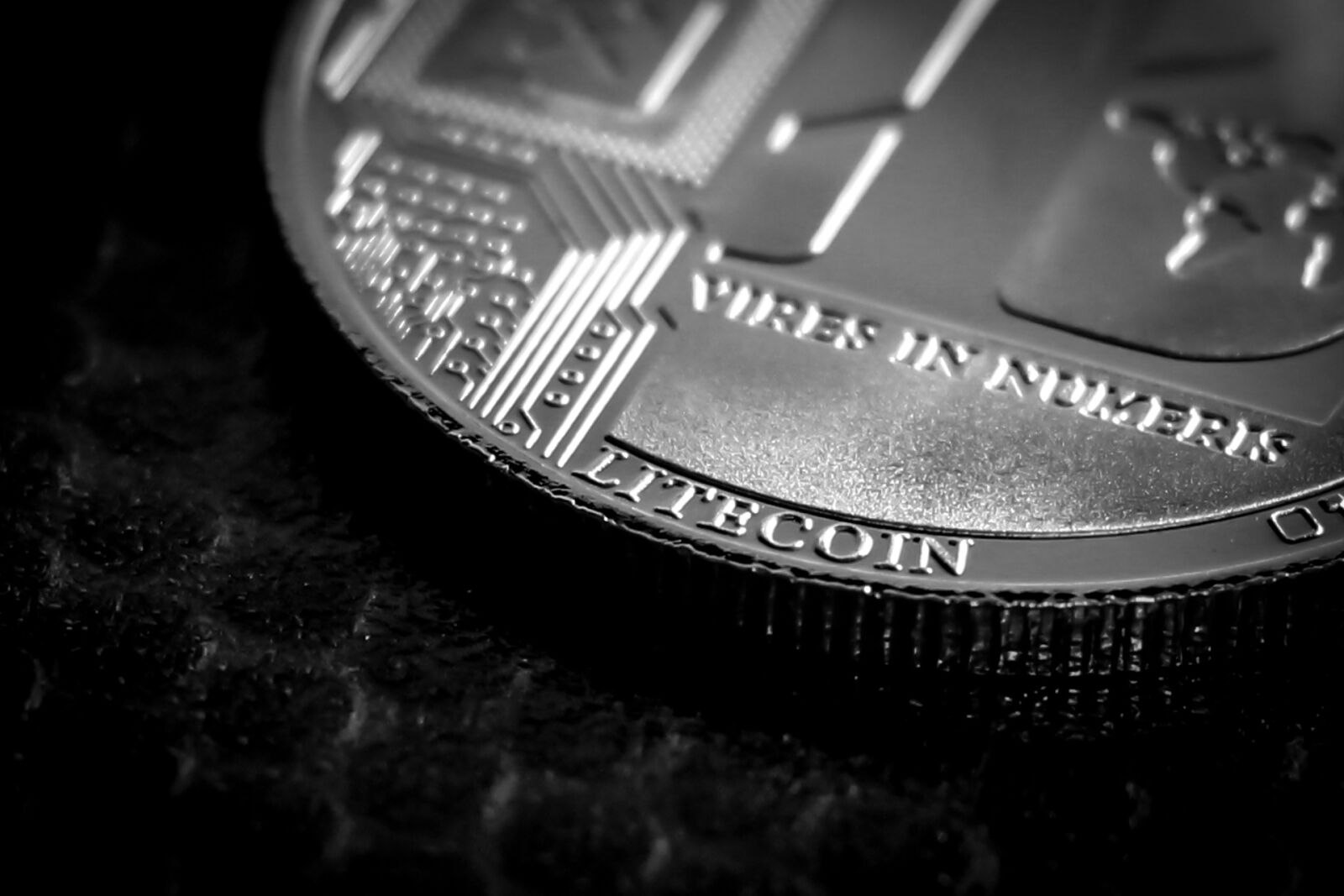 Canon EOS 700D (EOS Rebel T5i / EOS Kiss X7i) + Canon EF 50mm F1.8 STM sample photo. Litecoin, business, finance photography
