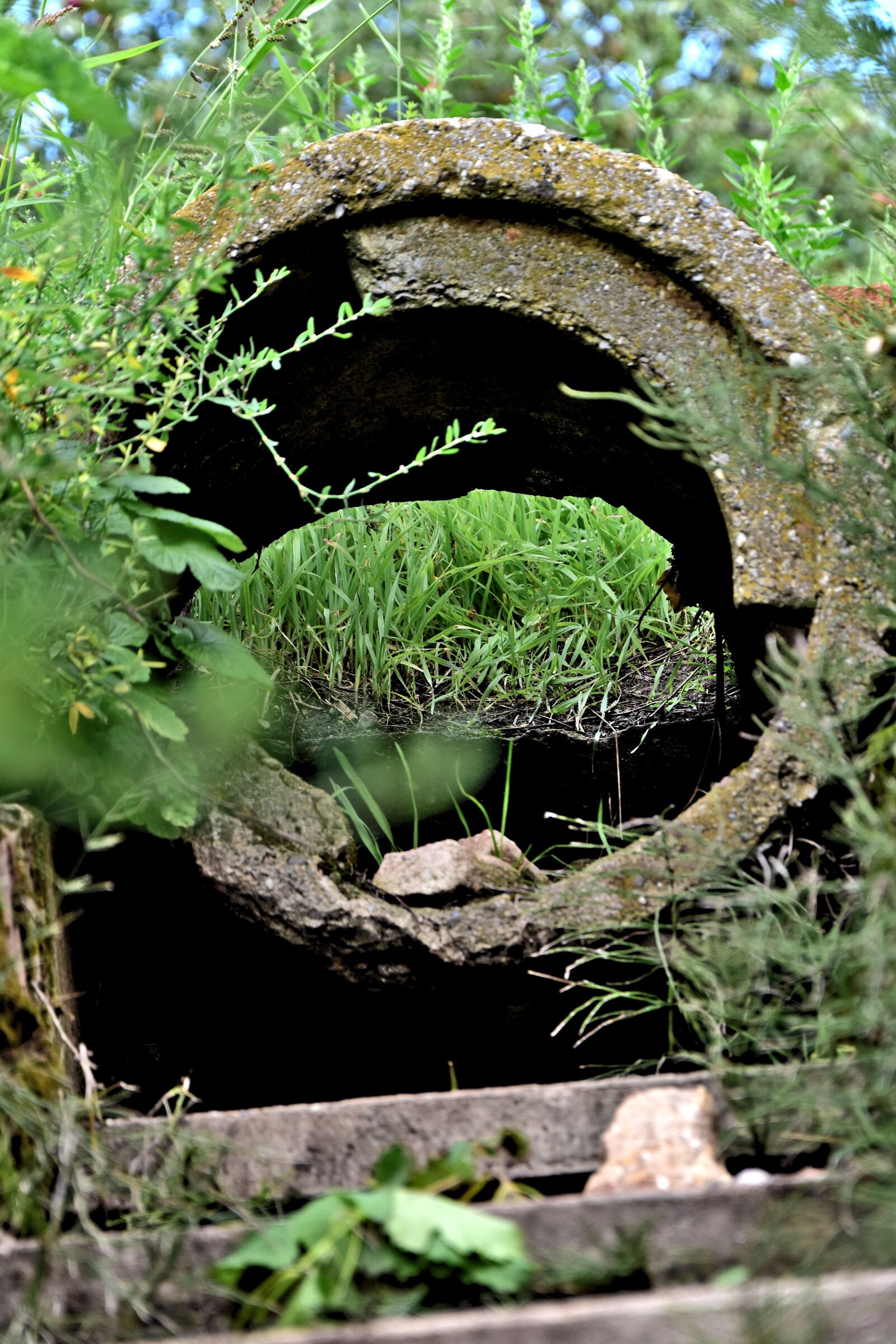 Nikon D5500 sample photo. Stairway, stairs, stone photography
