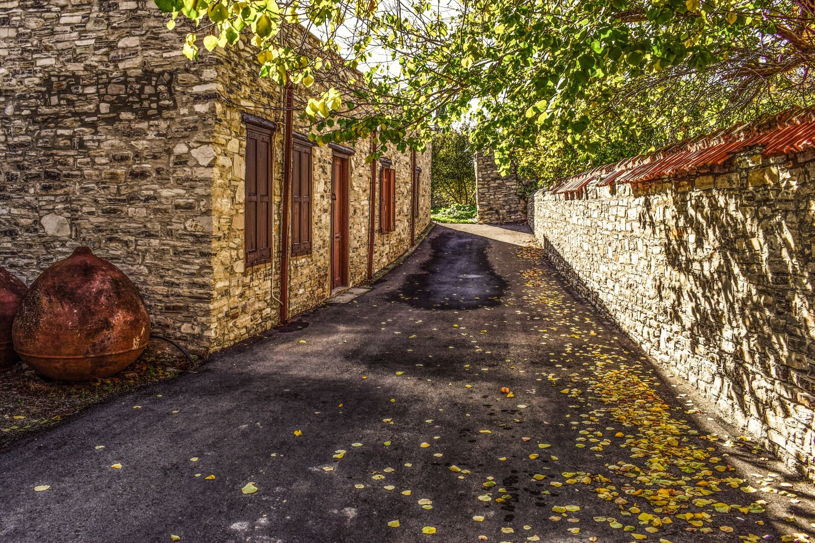 Nikon D3300 sample photo. Cyprus, kato drys, village photography