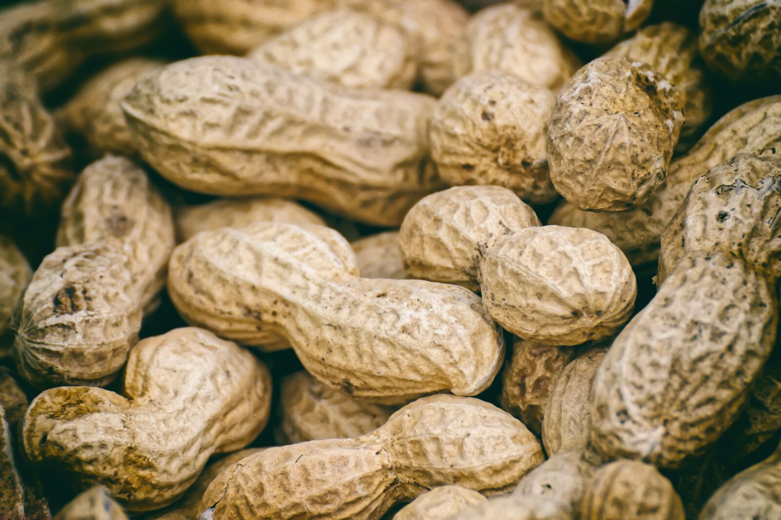 Nikon D7200 sample photo. Peanuts, shell, eat photography