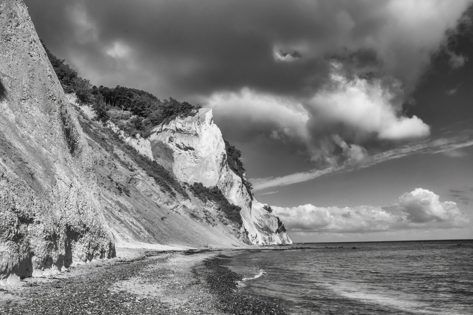 Nikon D5300 sample photo. Nature, black and white photography