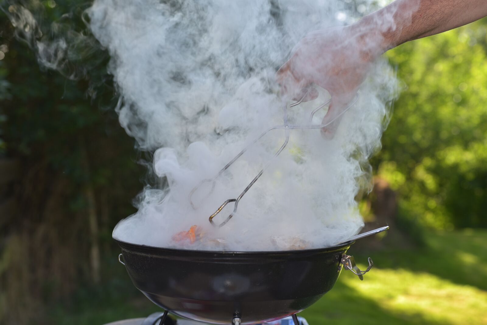 Nikon D750 sample photo. Grill, meat, hand photography