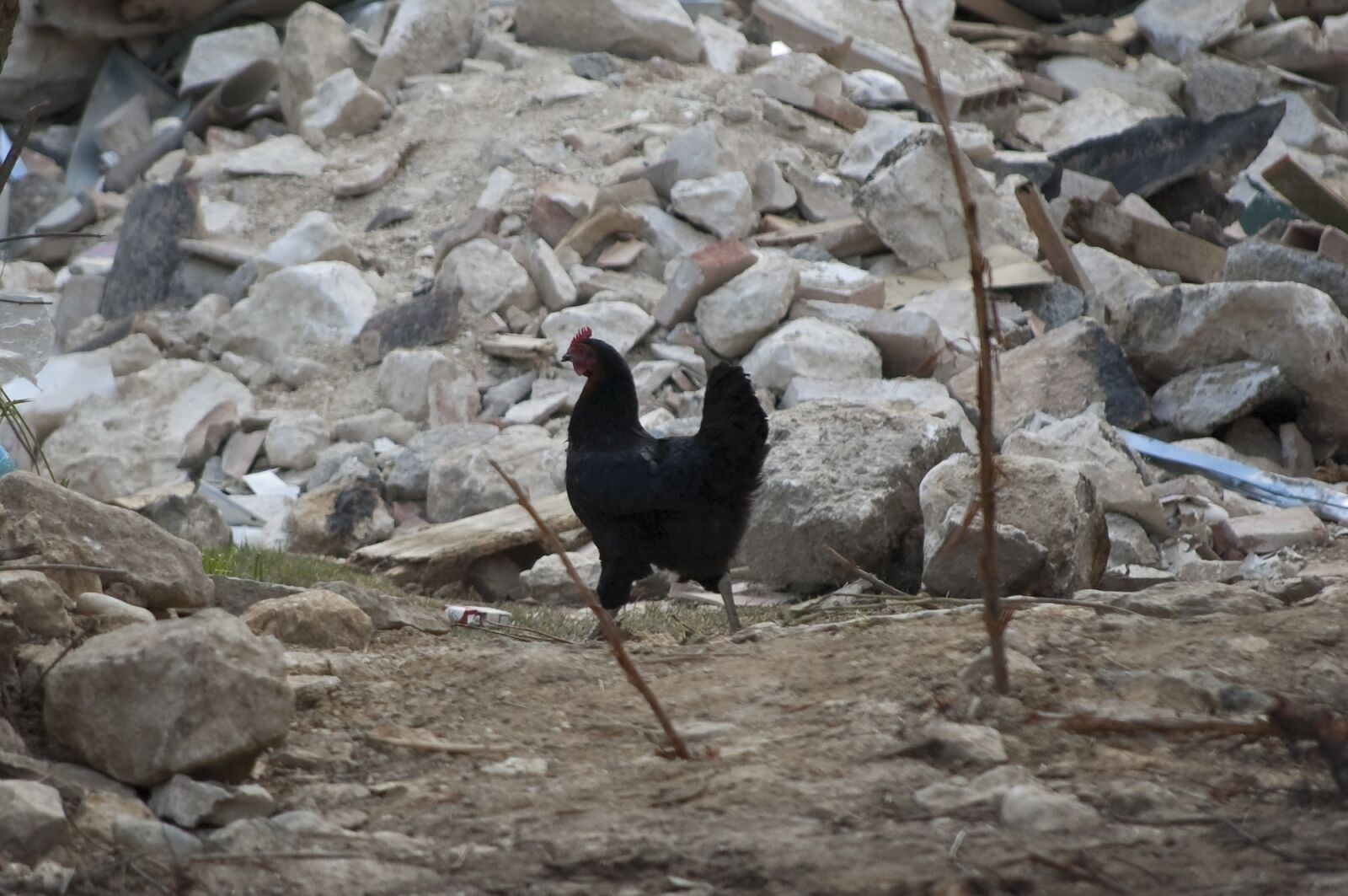 Nikon D70 sample photo. Earthquake, rubble, collapse photography