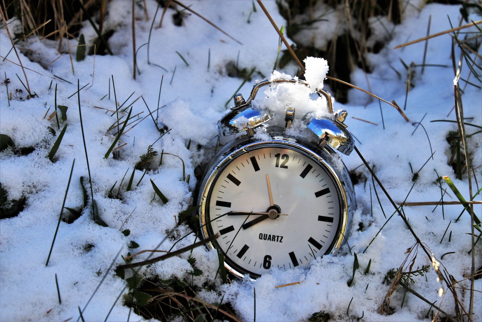 Canon EOS 80D sample photo. Winter, shield, snow photography