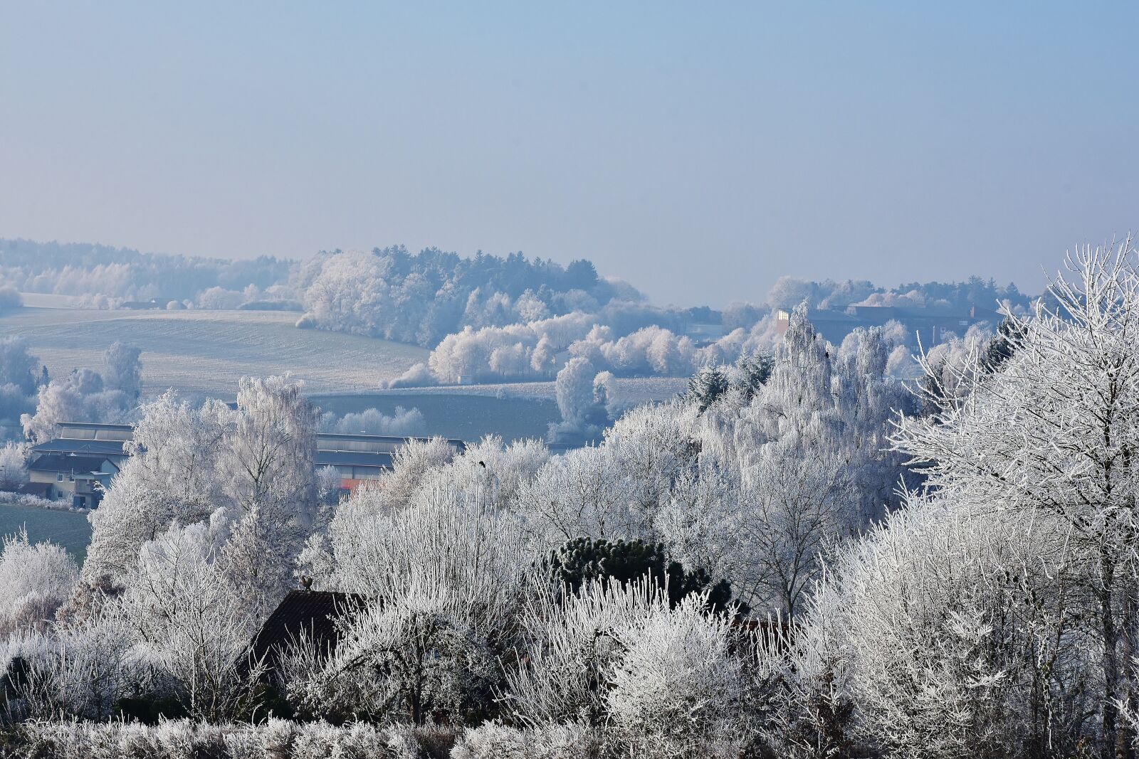 Nikon D7200 sample photo. Landscape, winter, trees photography