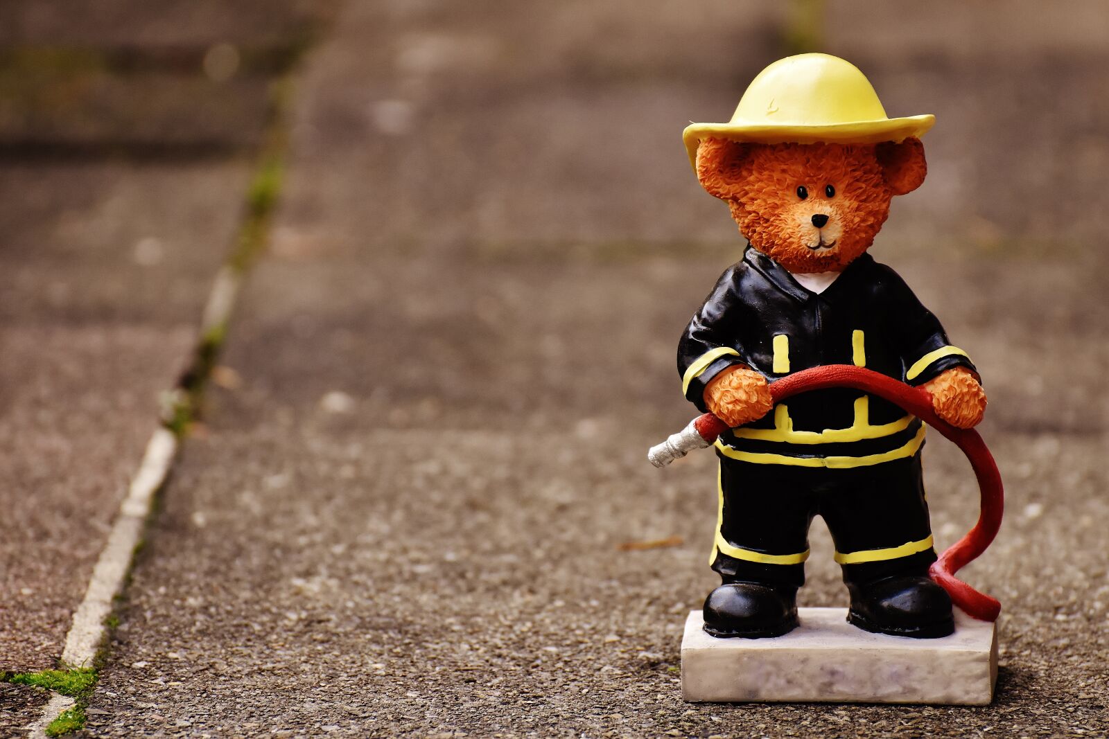 Nikon D7200 sample photo. Bear, profession, fire fighter photography
