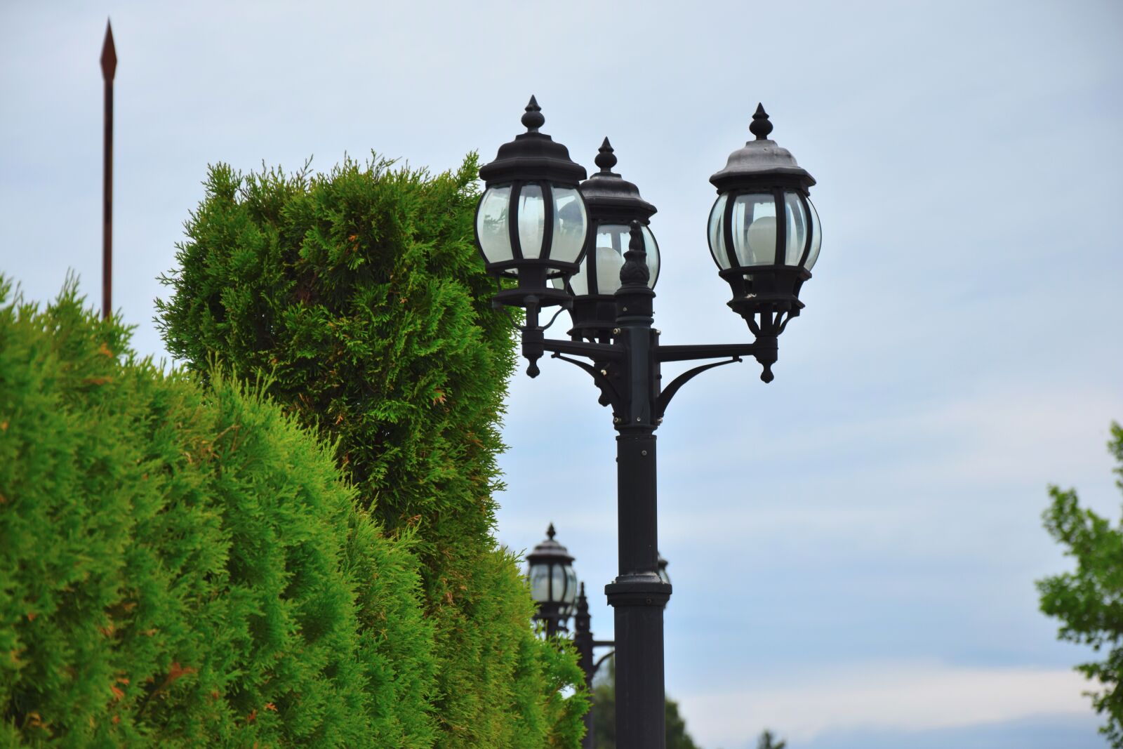 Nikon D3300 sample photo. Day, lamp, green photography
