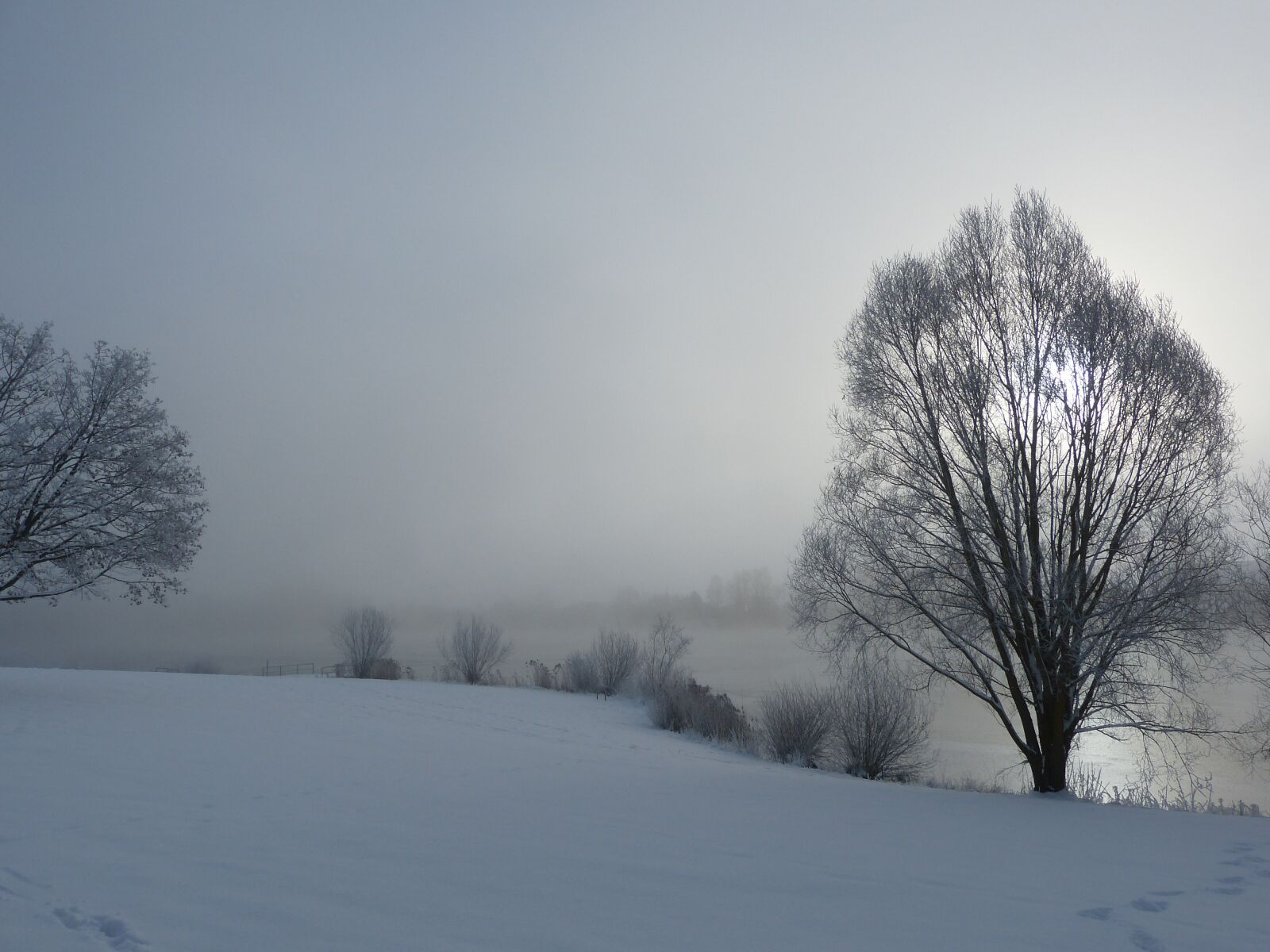Panasonic Lumix DMC-FZ150 sample photo. Winter, snow, stretch photography