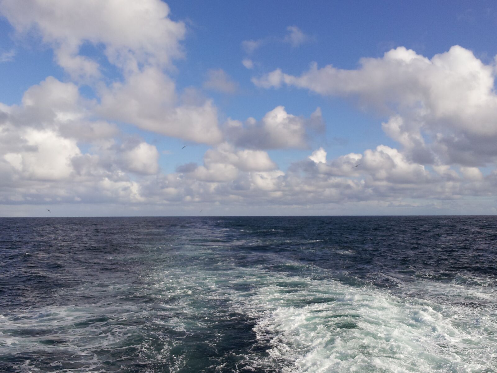 Samsung Galaxy S2 sample photo. Magellan, antarctica, patagonia photography