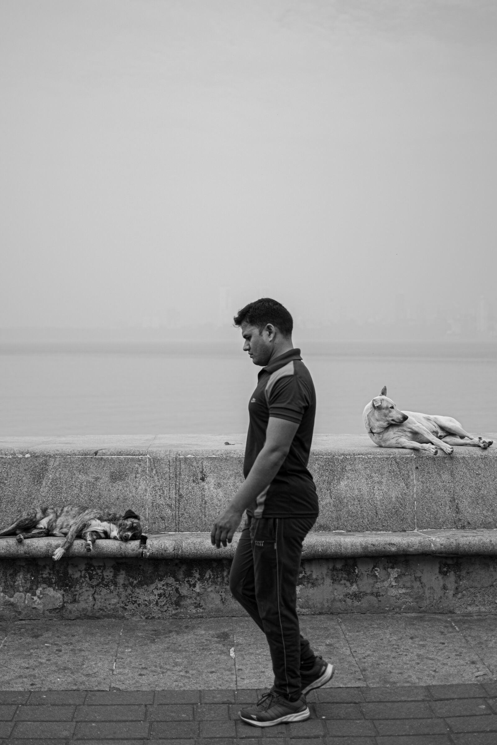 Nikon D5300 sample photo. People, black and white photography