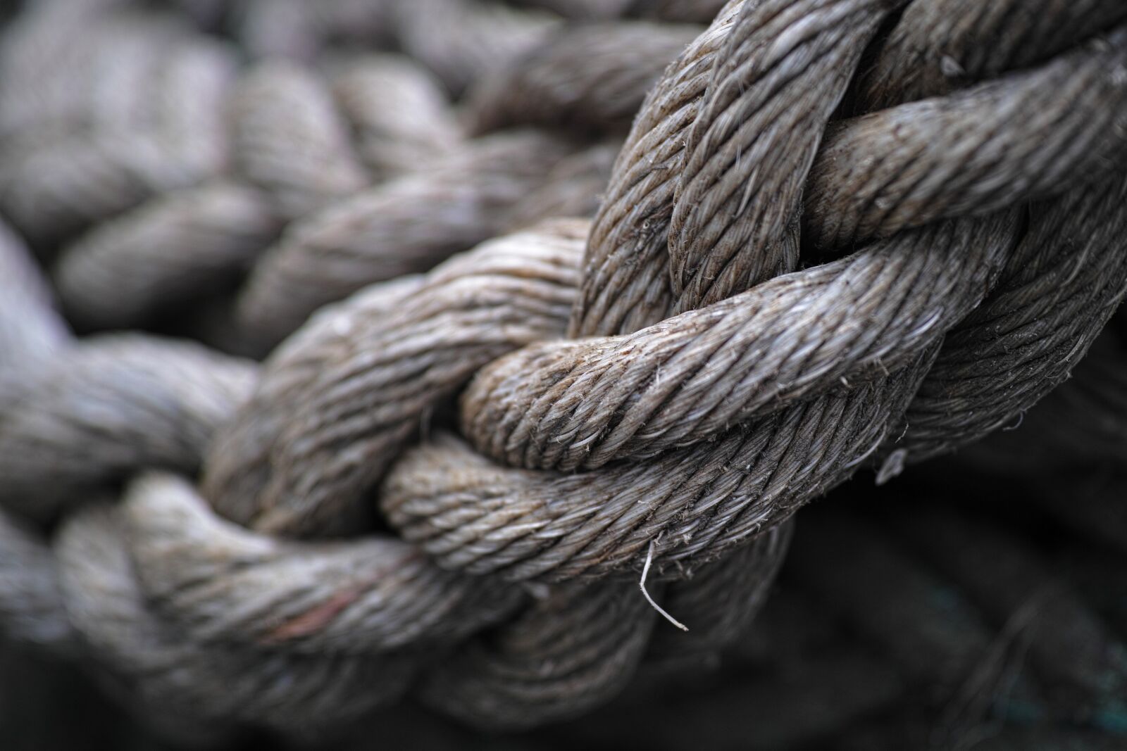 Sigma DP3 Merrill sample photo. Rope, grey, old photography
