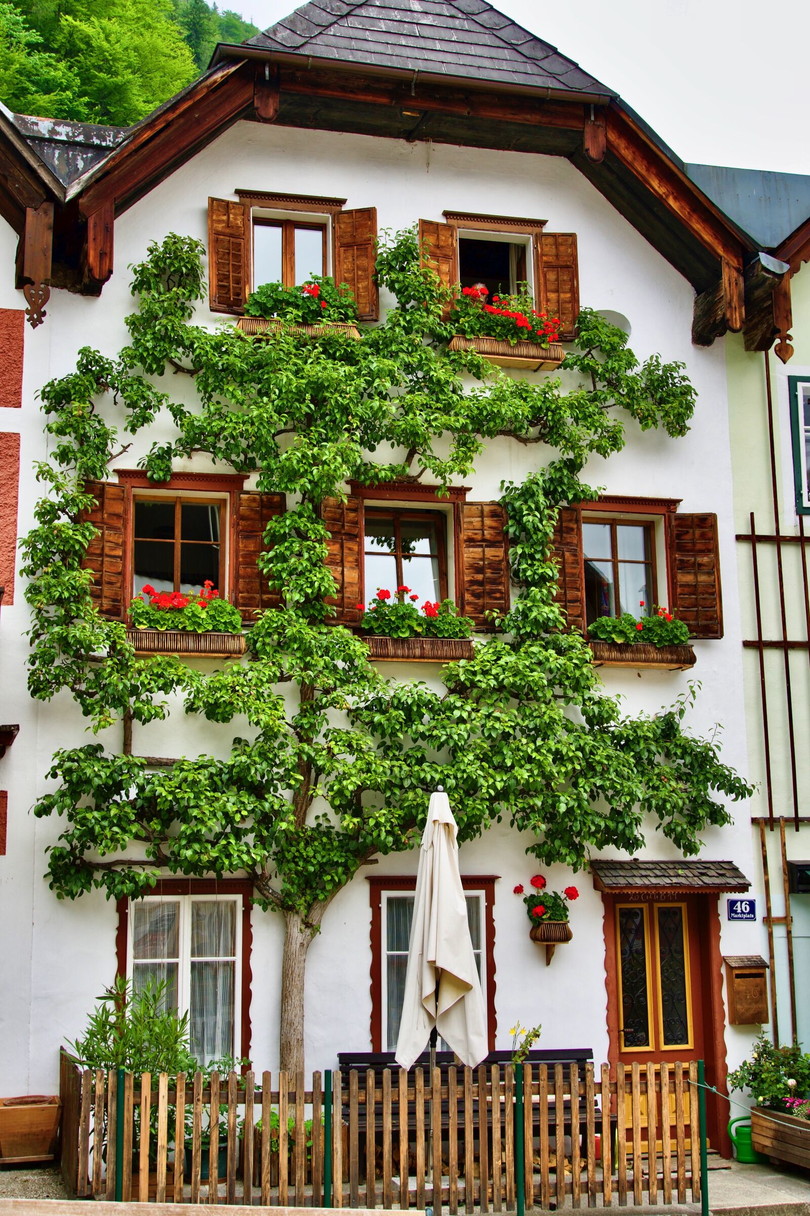 Sony a6500 sample photo. Facade, tree, greenery photography