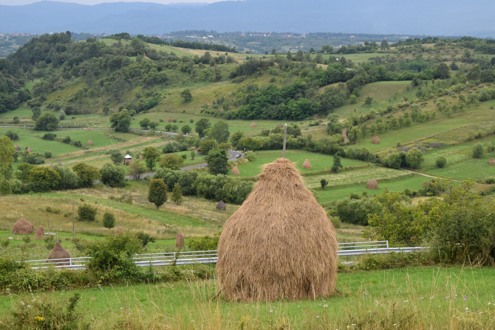 Nikon D3500 sample photo. Nature, photos, mara mures photography