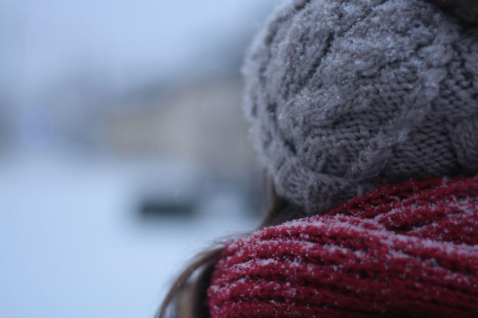 Canon EOS 450D (EOS Rebel XSi / EOS Kiss X2) + Canon EF 50mm F1.8 II sample photo. Snow, street, winter, scarf photography