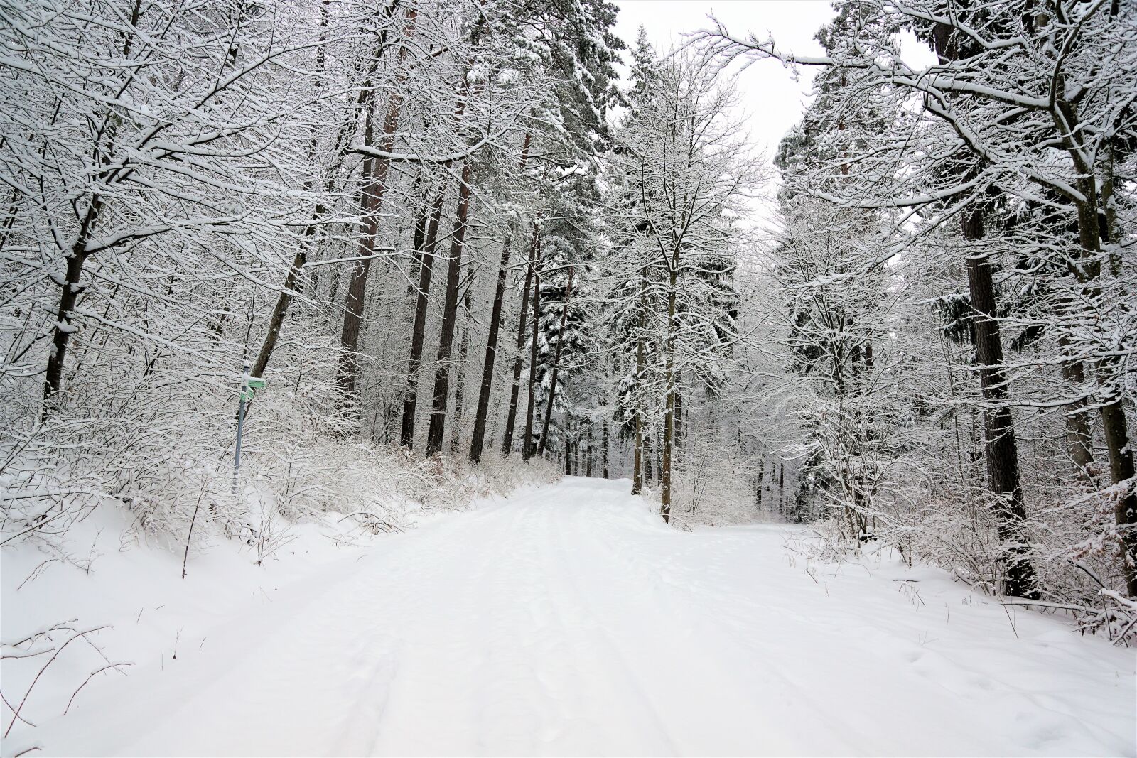 Sony ILCA-77M2 + Sony DT 16-50mm F2.8 SSM sample photo. Winter, snow, cold photography