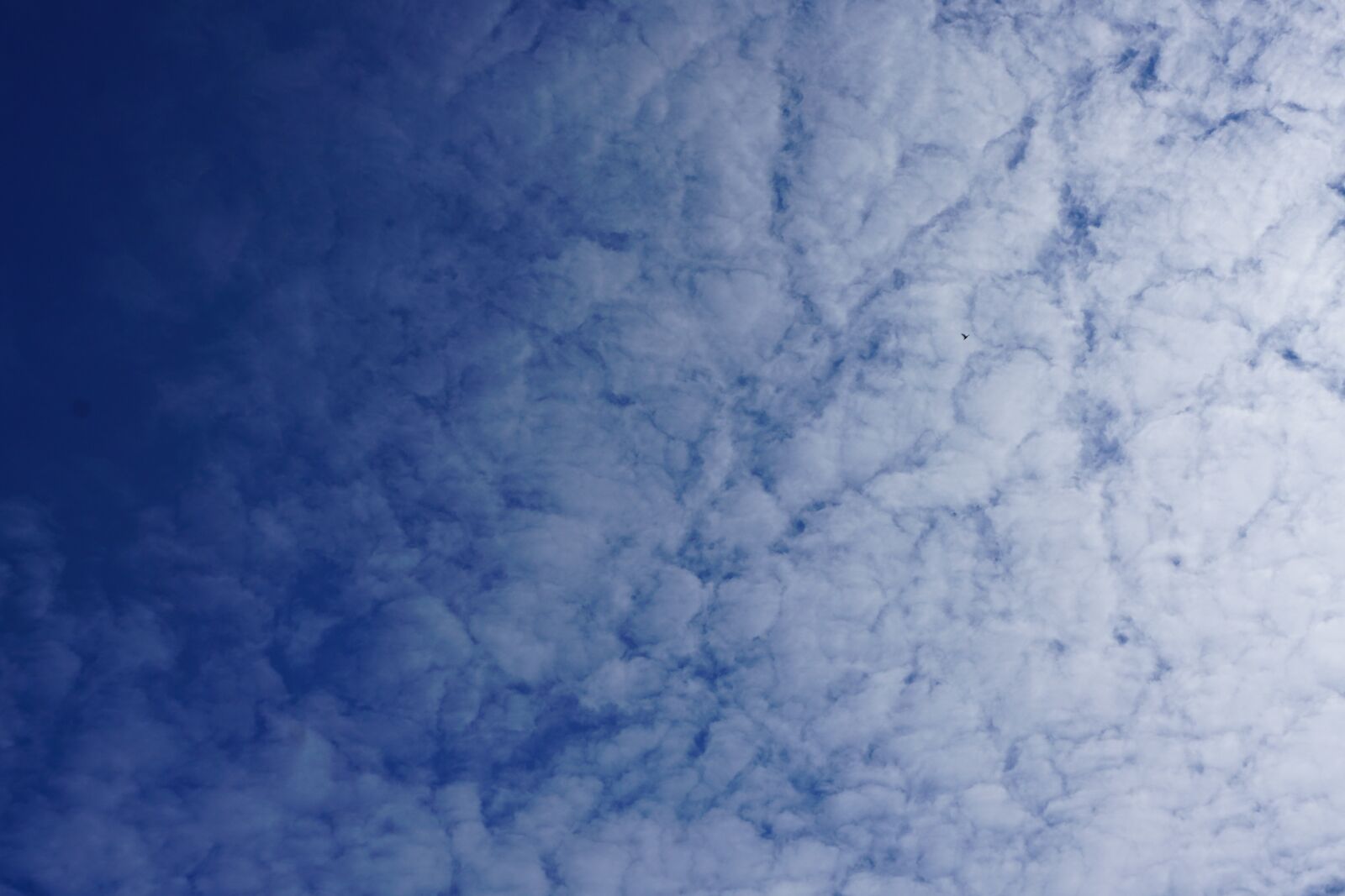 Sony a6000 sample photo. Blue, white, clouds photography