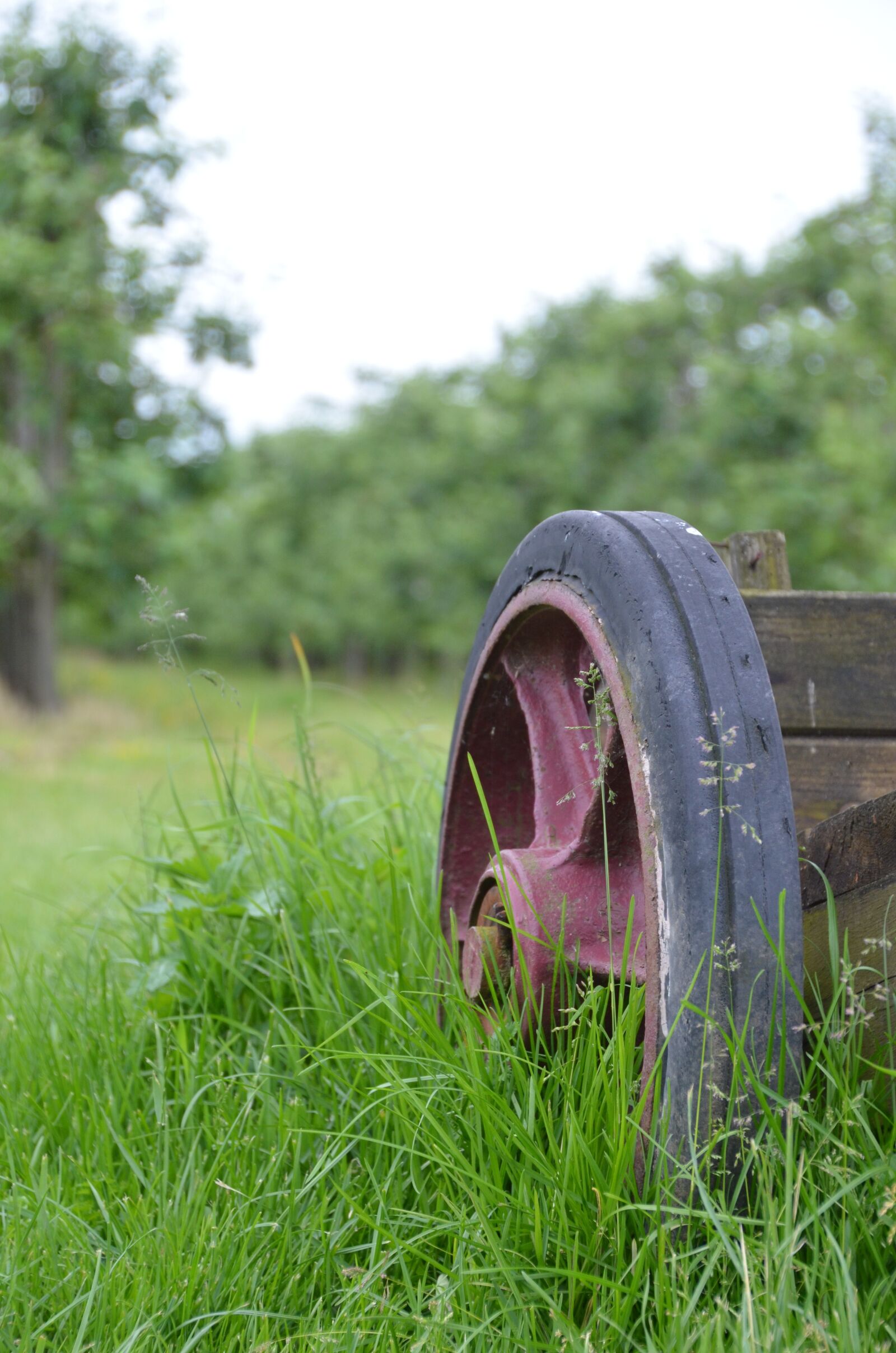 Nikon D5100 sample photo. Grass, green, wheel cart photography