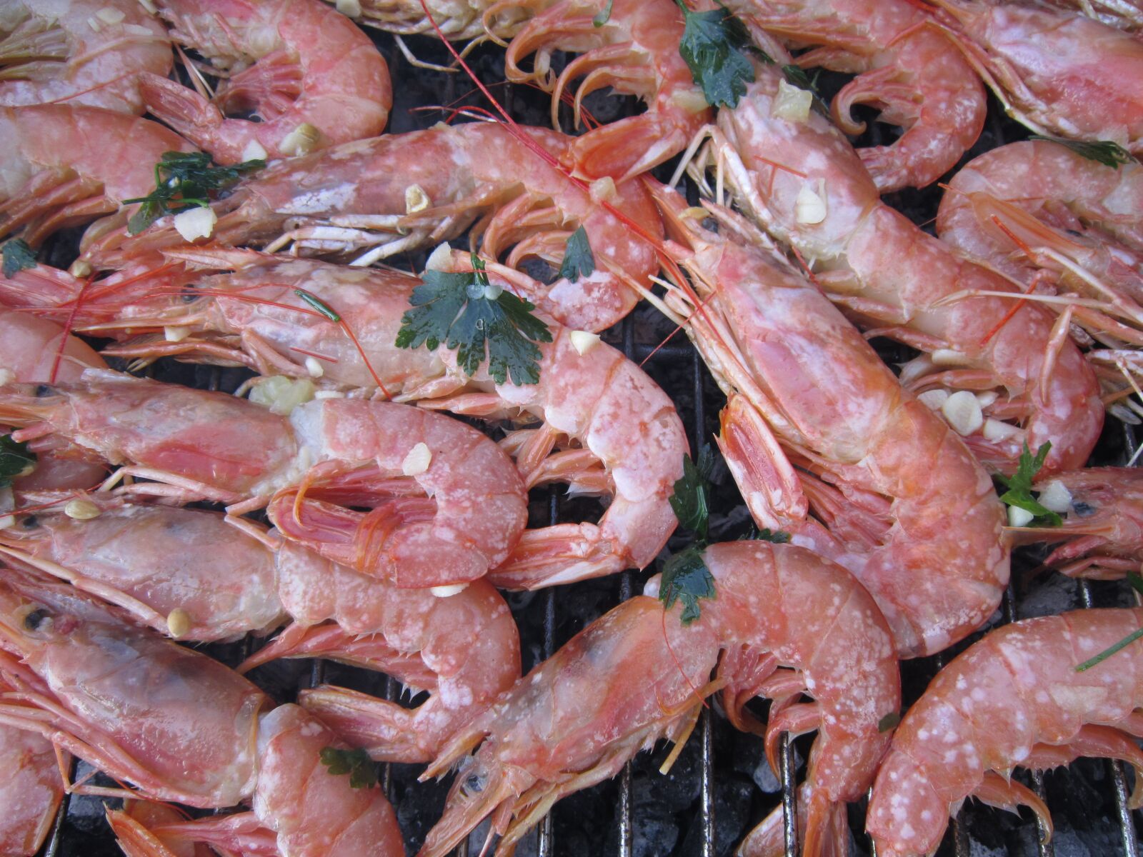 Canon PowerShot A3200 IS sample photo. Shrimp, red shrimp, grill photography