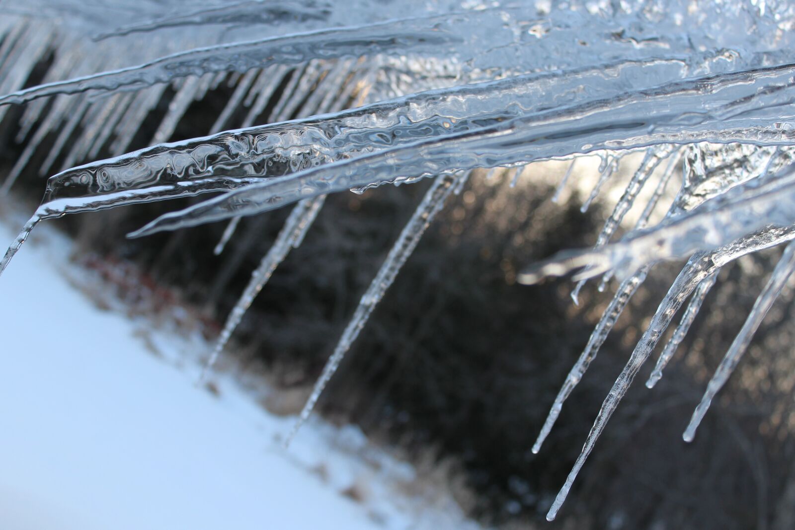 Canon EOS 1200D (EOS Rebel T5 / EOS Kiss X70 / EOS Hi) sample photo. Icicles, winter, cold photography