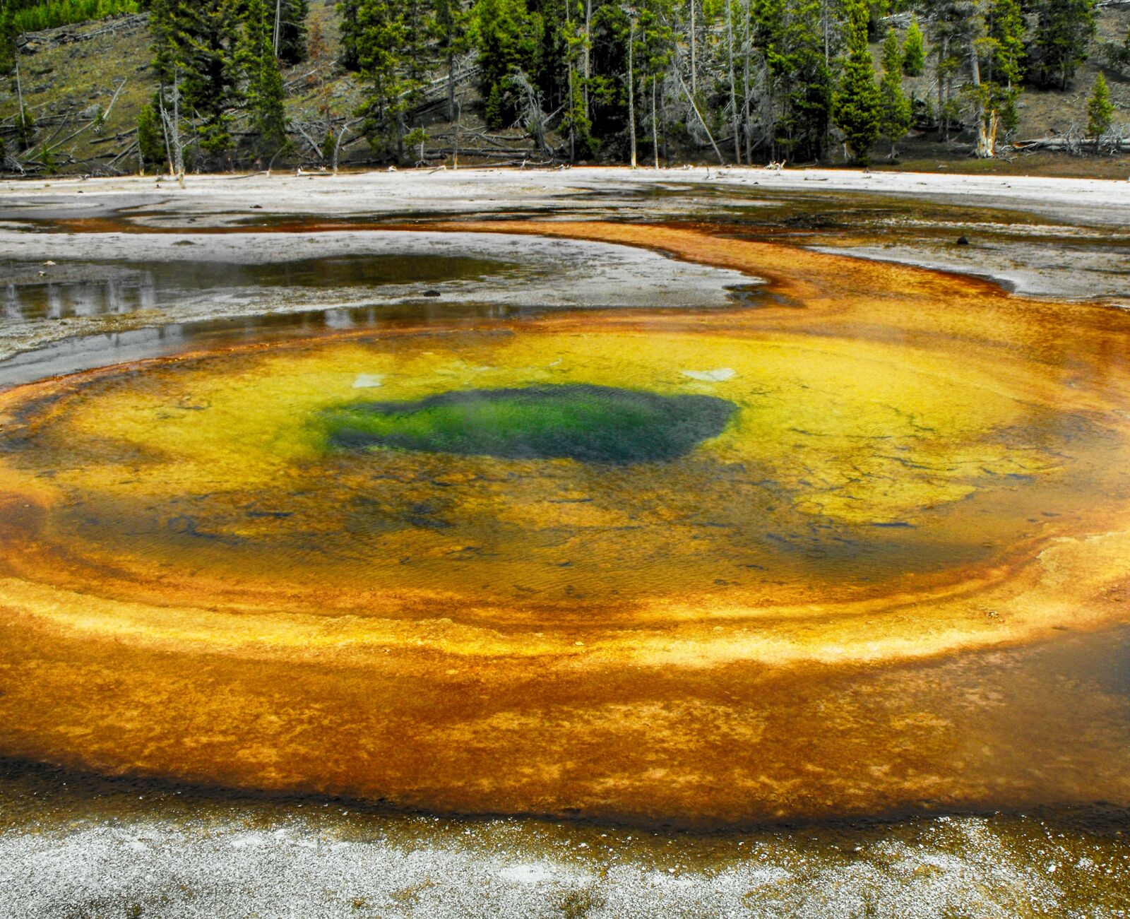 Fujifilm FinePix S1000fd sample photo. Geyser, national park, wyoming photography