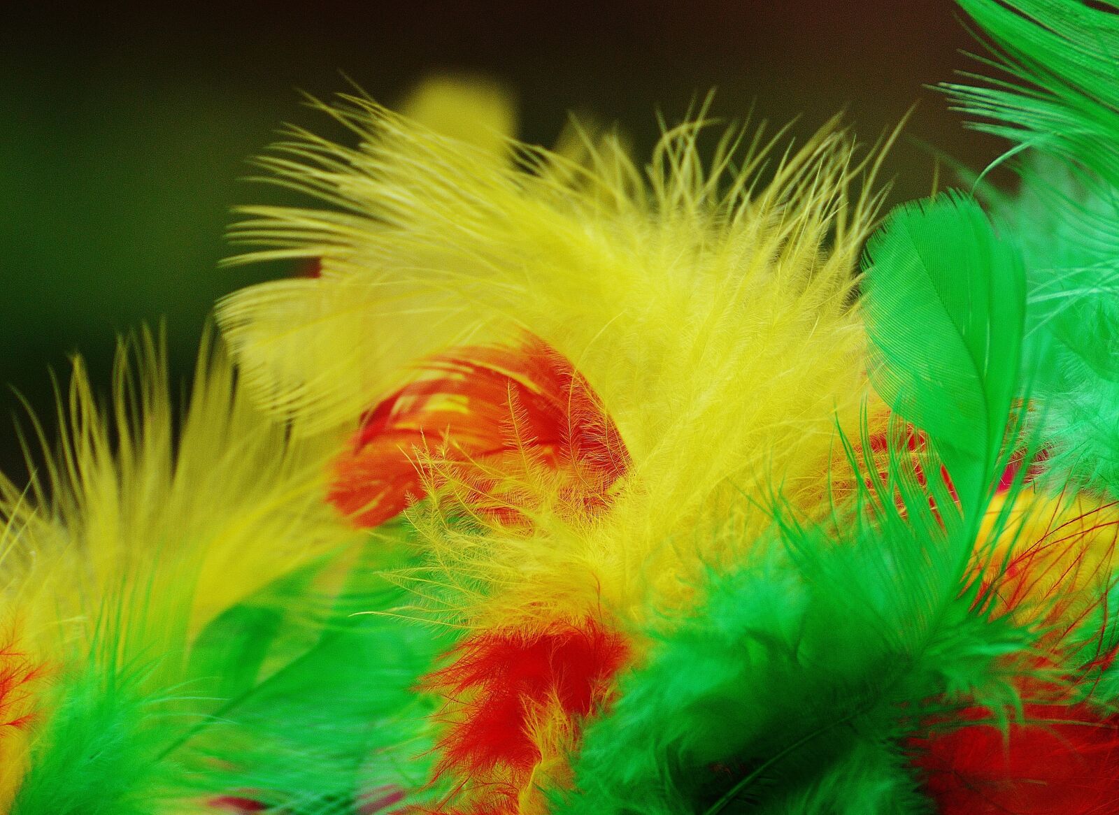 Nikon D3200 sample photo. Foam balls, feather, colorful photography