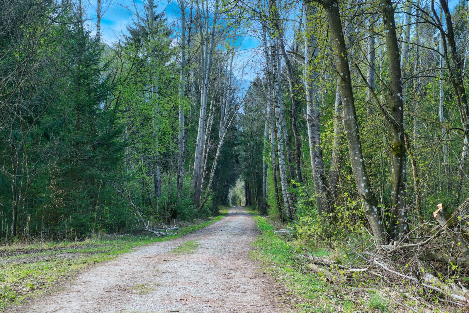 Nikon D7100 sample photo. Spring, away, nature photography
