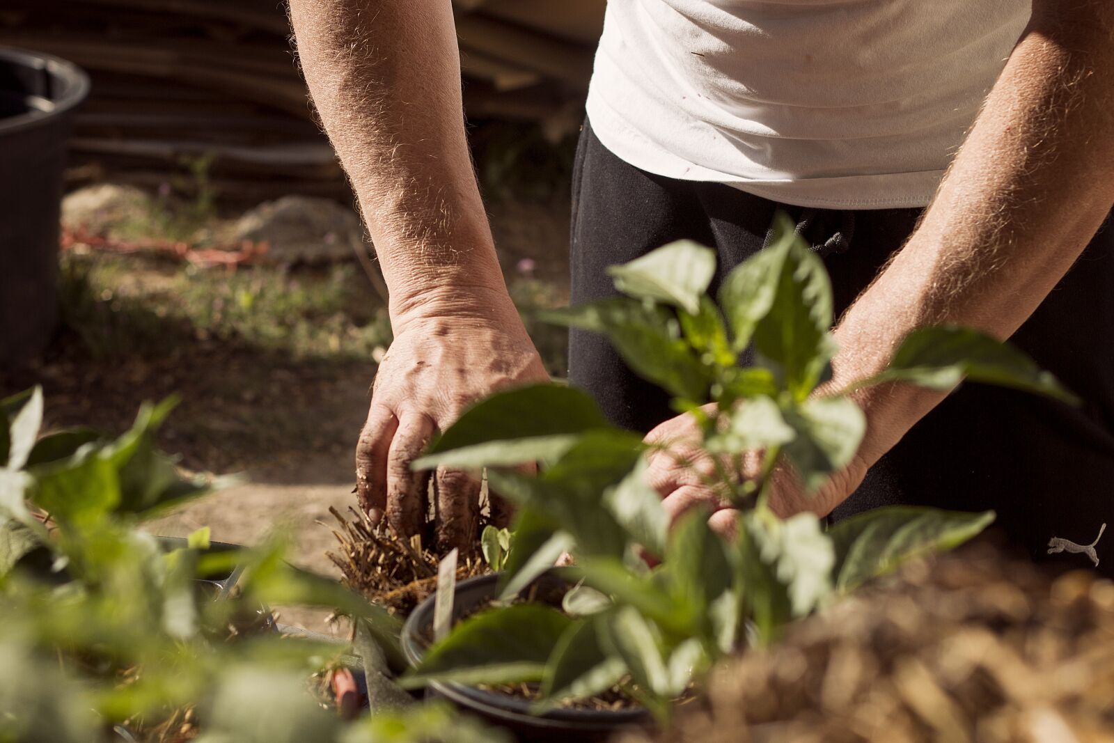 Canon EOS 70D + Canon EF 50mm F1.8 II sample photo. Garden, working hands, dirt photography