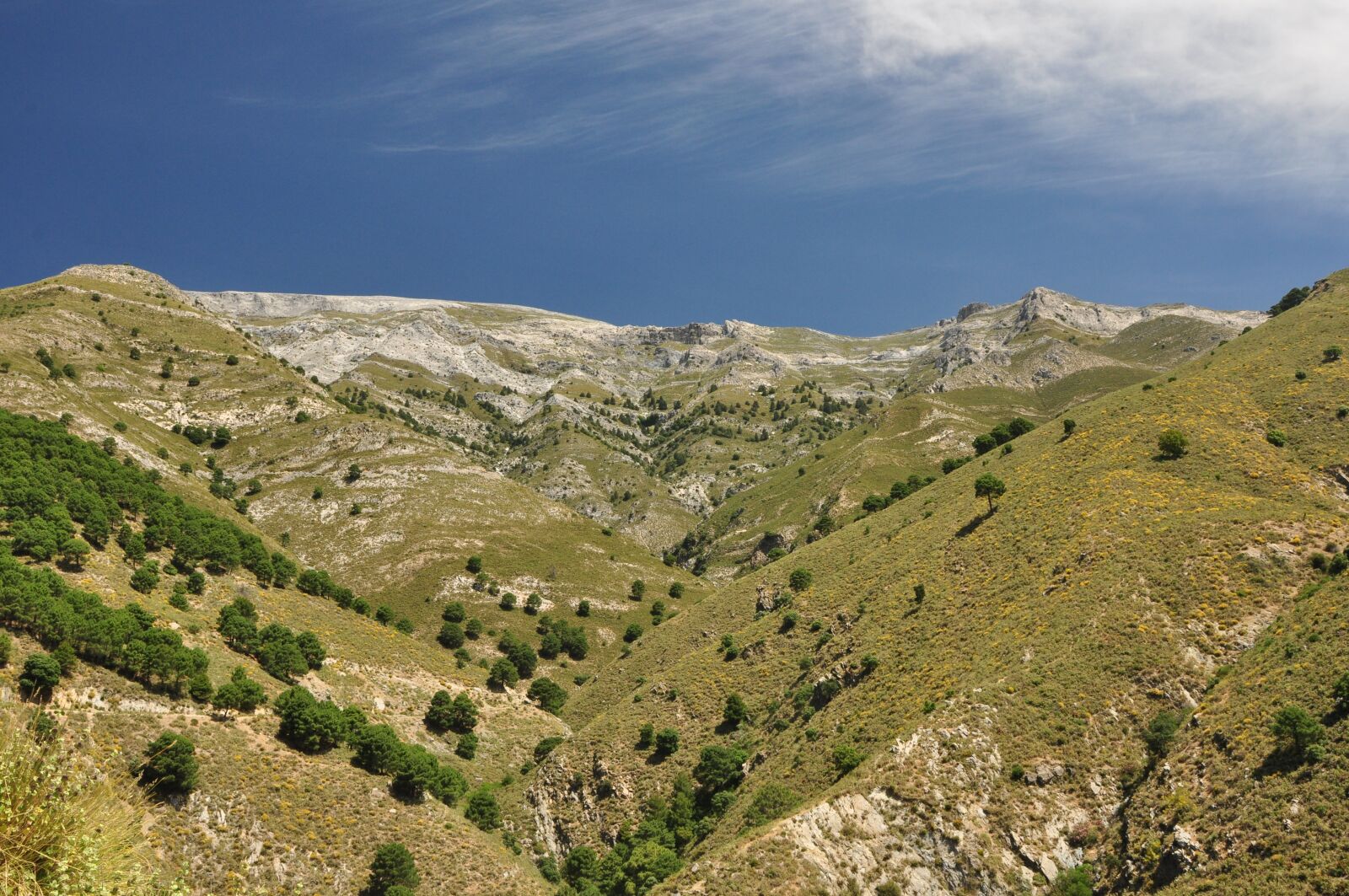 Nikon D90 sample photo. Mountains, valley, landscape photography