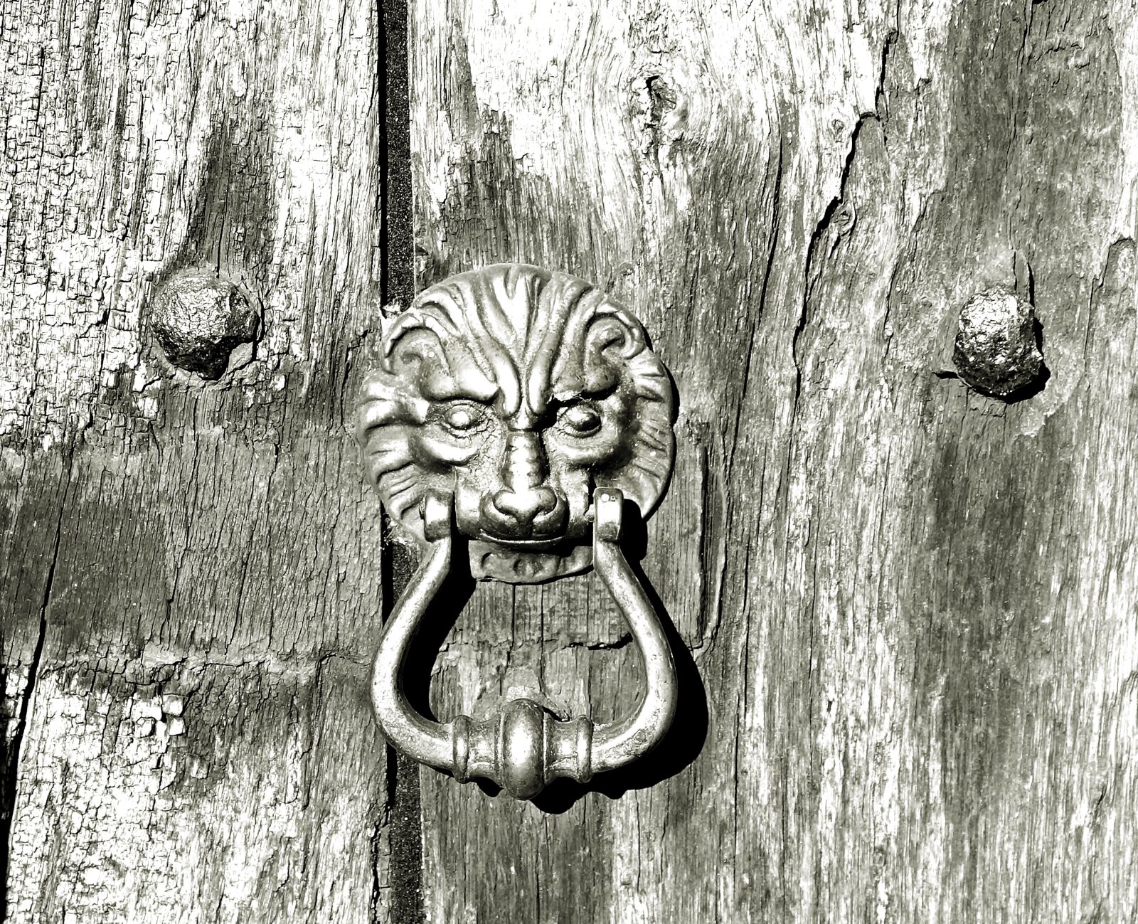 Canon EOS 550D (EOS Rebel T2i / EOS Kiss X4) sample photo. Wooden door, old wooden photography