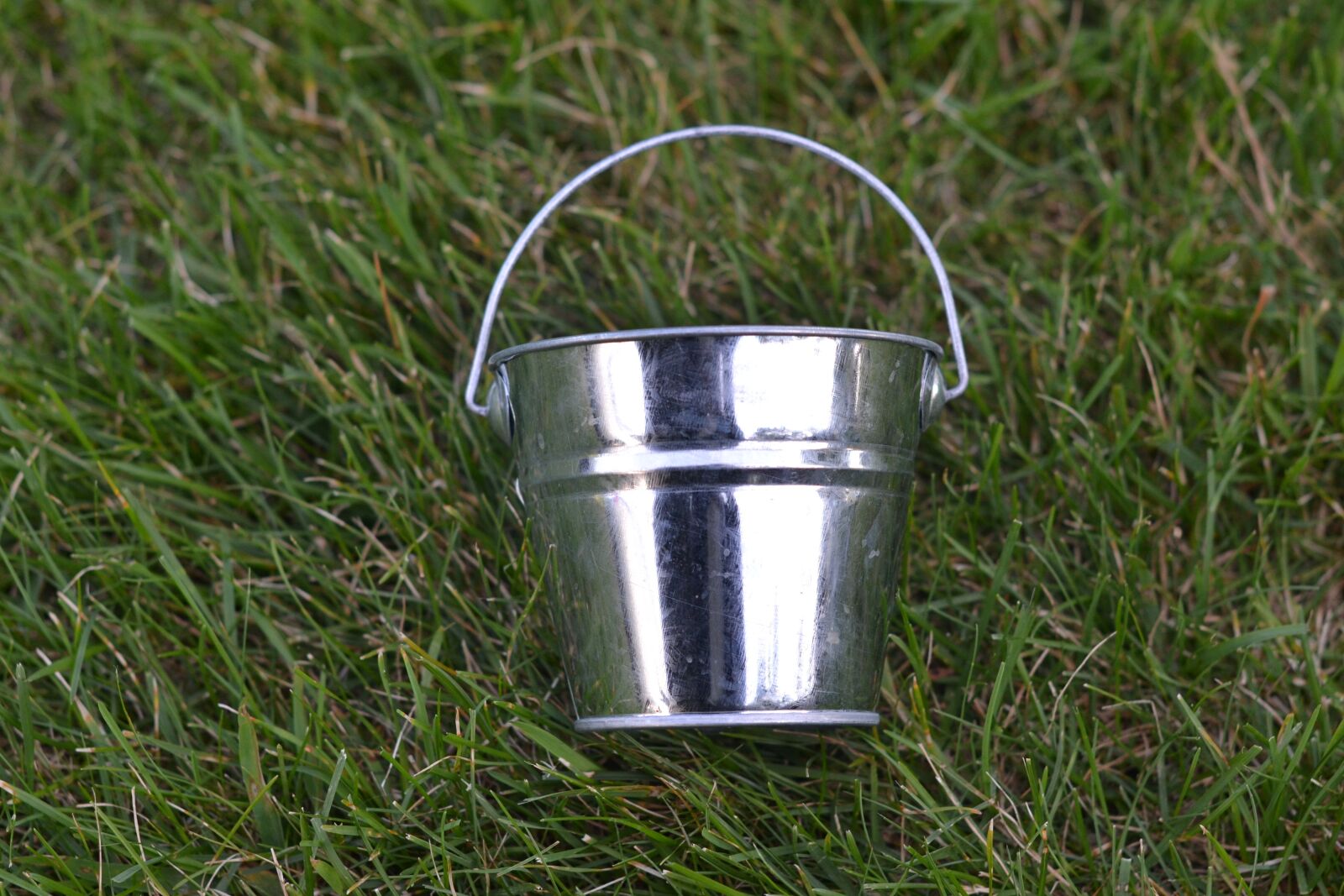 Nikon D3100 sample photo. Silver bucket, grass, bucket photography