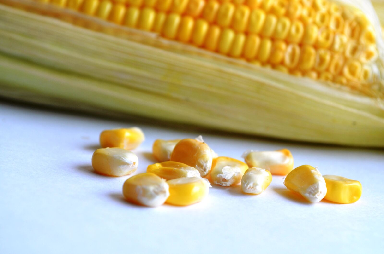 Nikon D5100 sample photo. Food, corn, kernel, grain photography