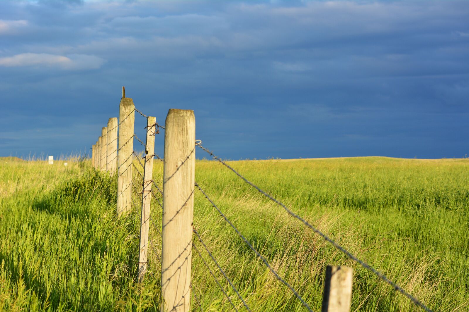 Nikon D7100 sample photo. Wyoming, fence, prairie photography