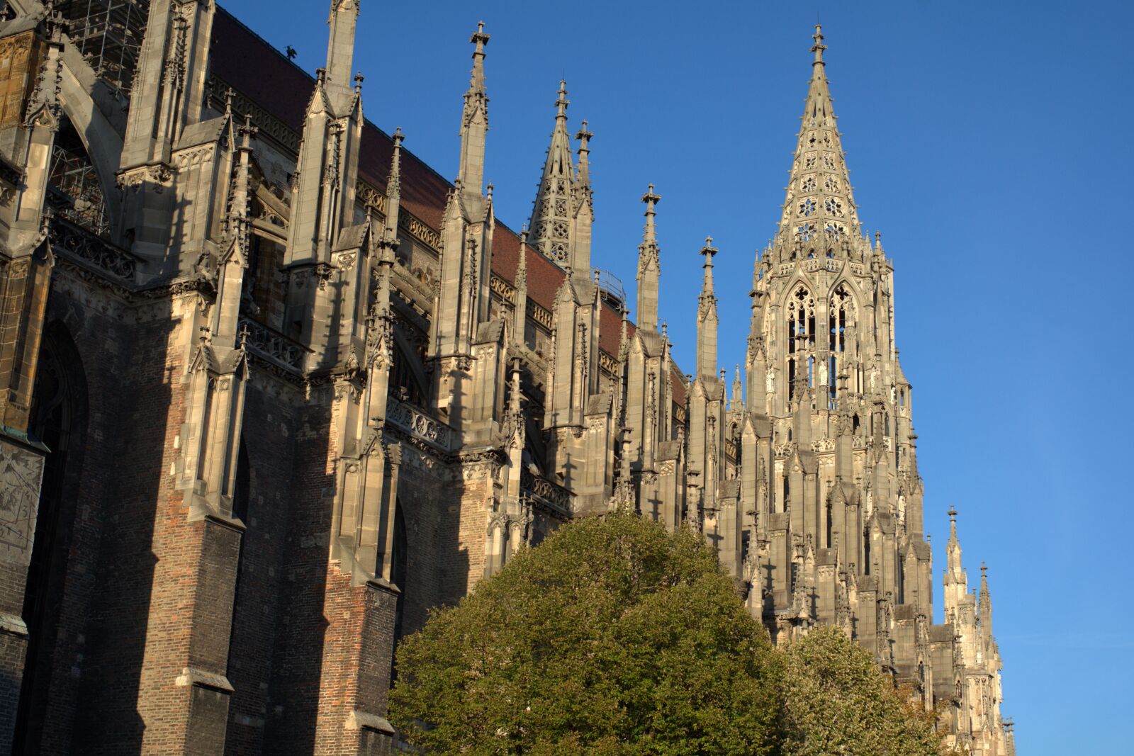 Sony FE 50mm F2.8 Macro sample photo. Church, dom, ulm photography