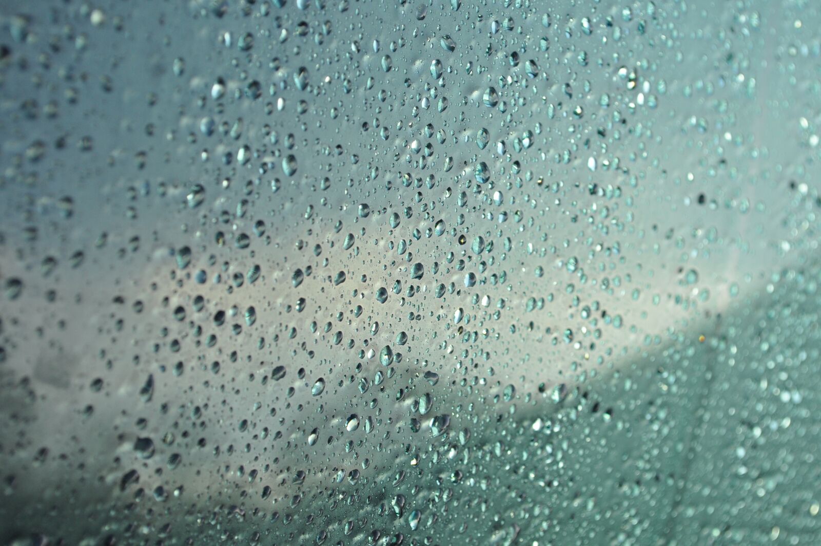 Nikon D90 sample photo. Fogging, drip, disc photography