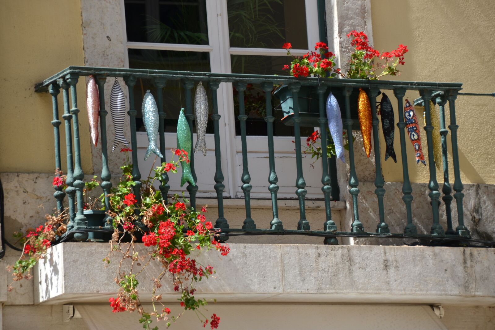 Nikon D5100 sample photo. Fish, balcony, window photography