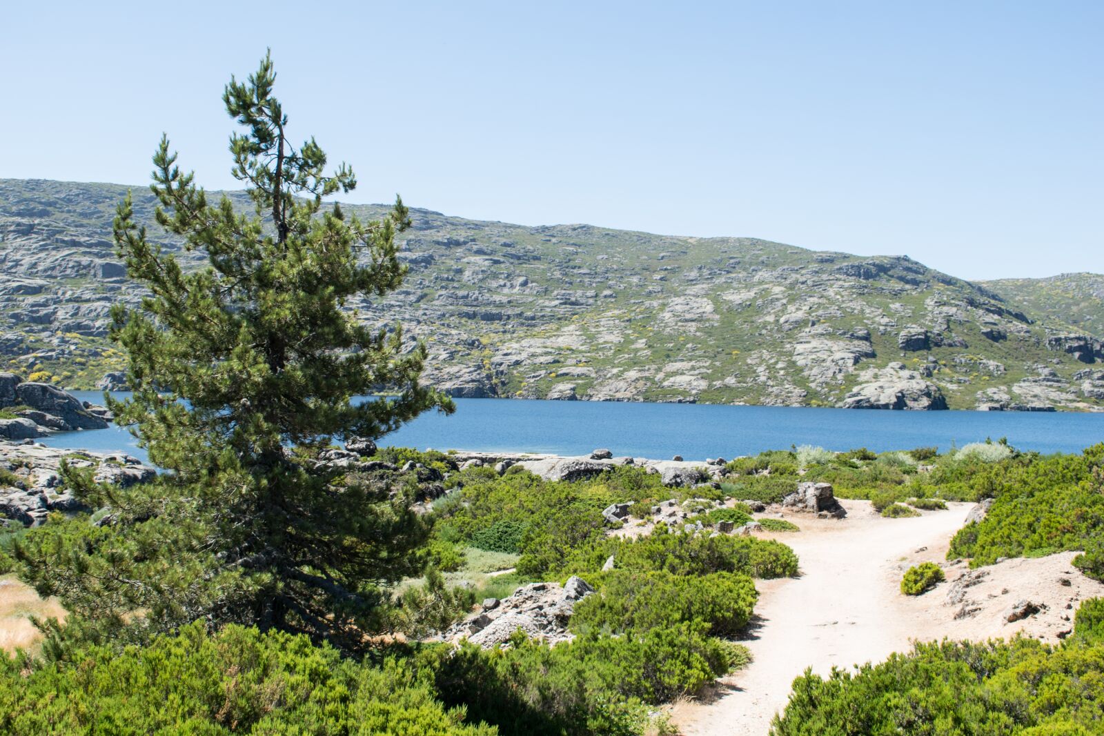 Nikon D3300 sample photo. Portugal, serra da estrela photography