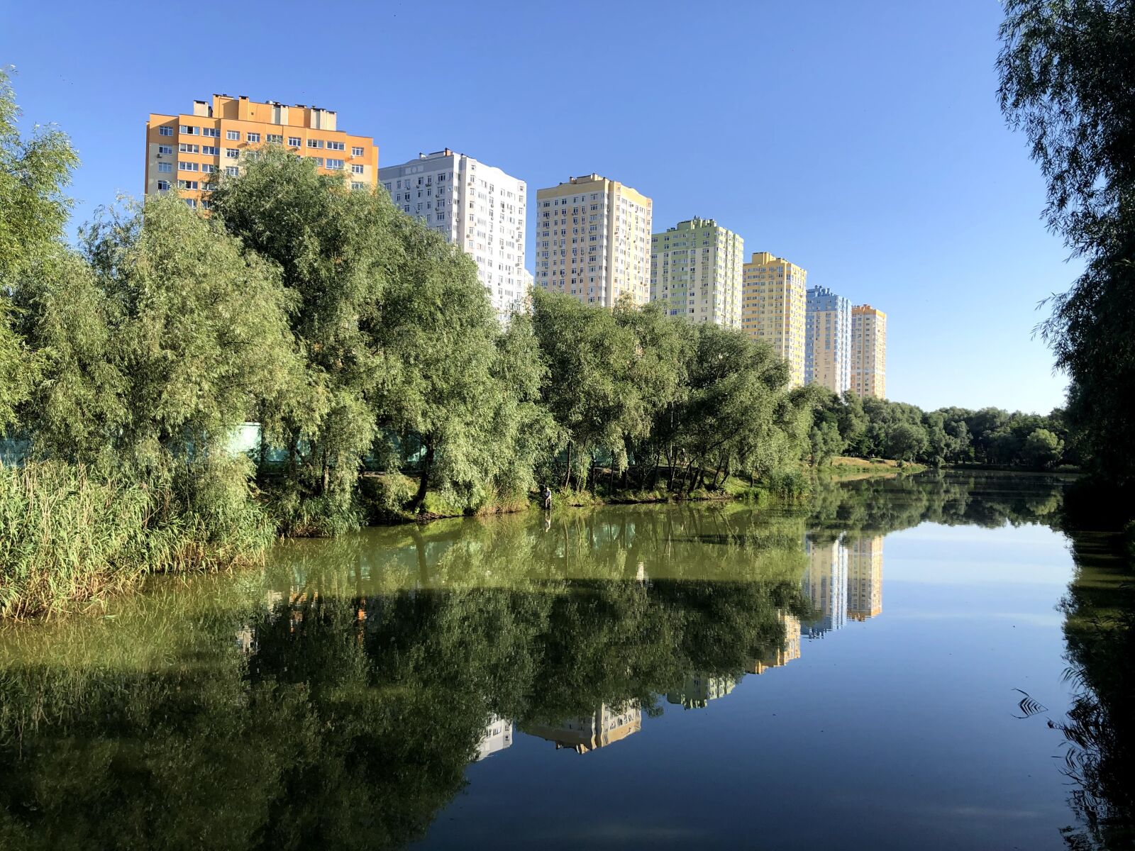 iPhone 8 back camera 3.99mm f/1.8 sample photo. Park, pond, waterflow photography