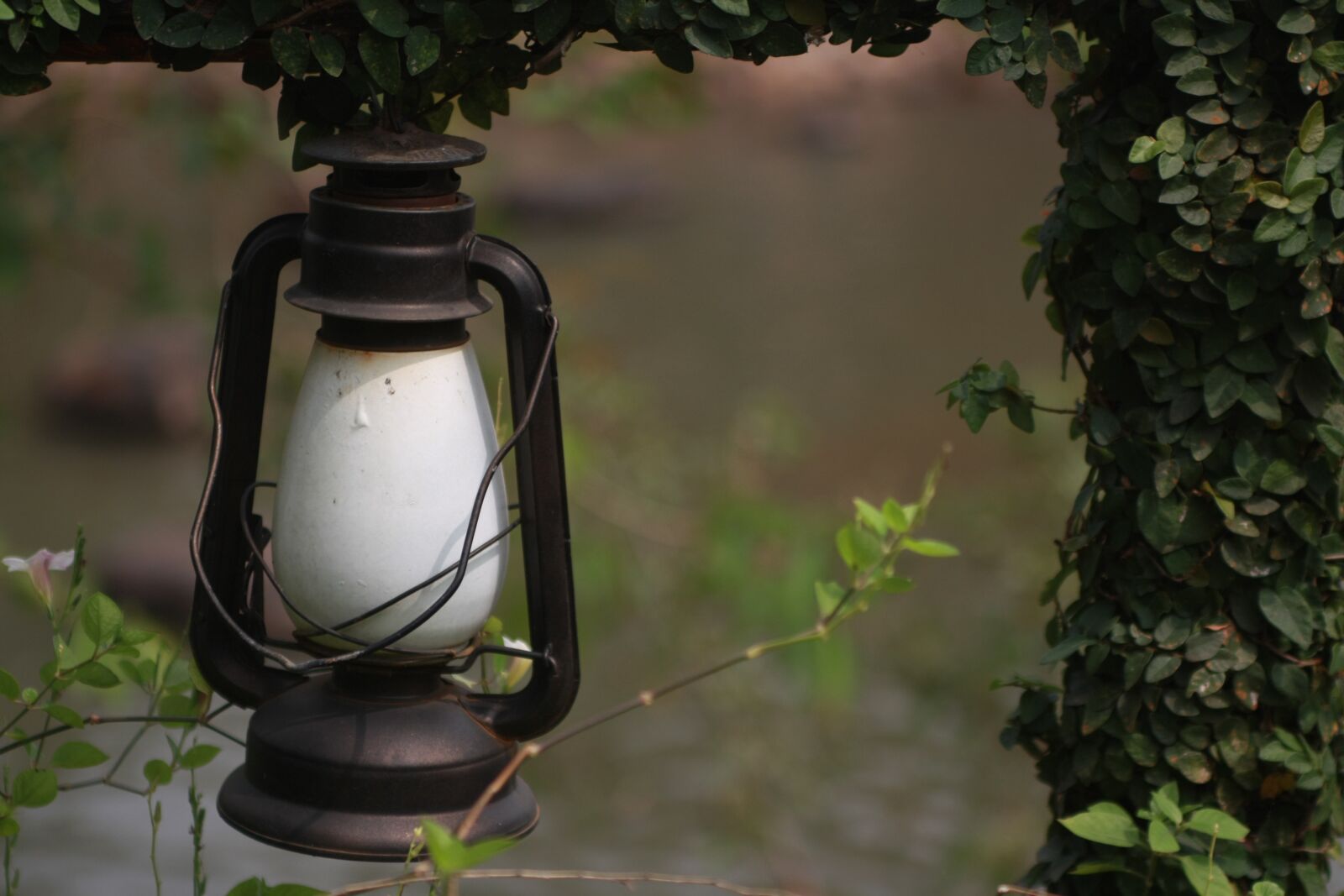 Canon EOS 450D (EOS Rebel XSi / EOS Kiss X2) sample photo. Lamp, decoration, light photography