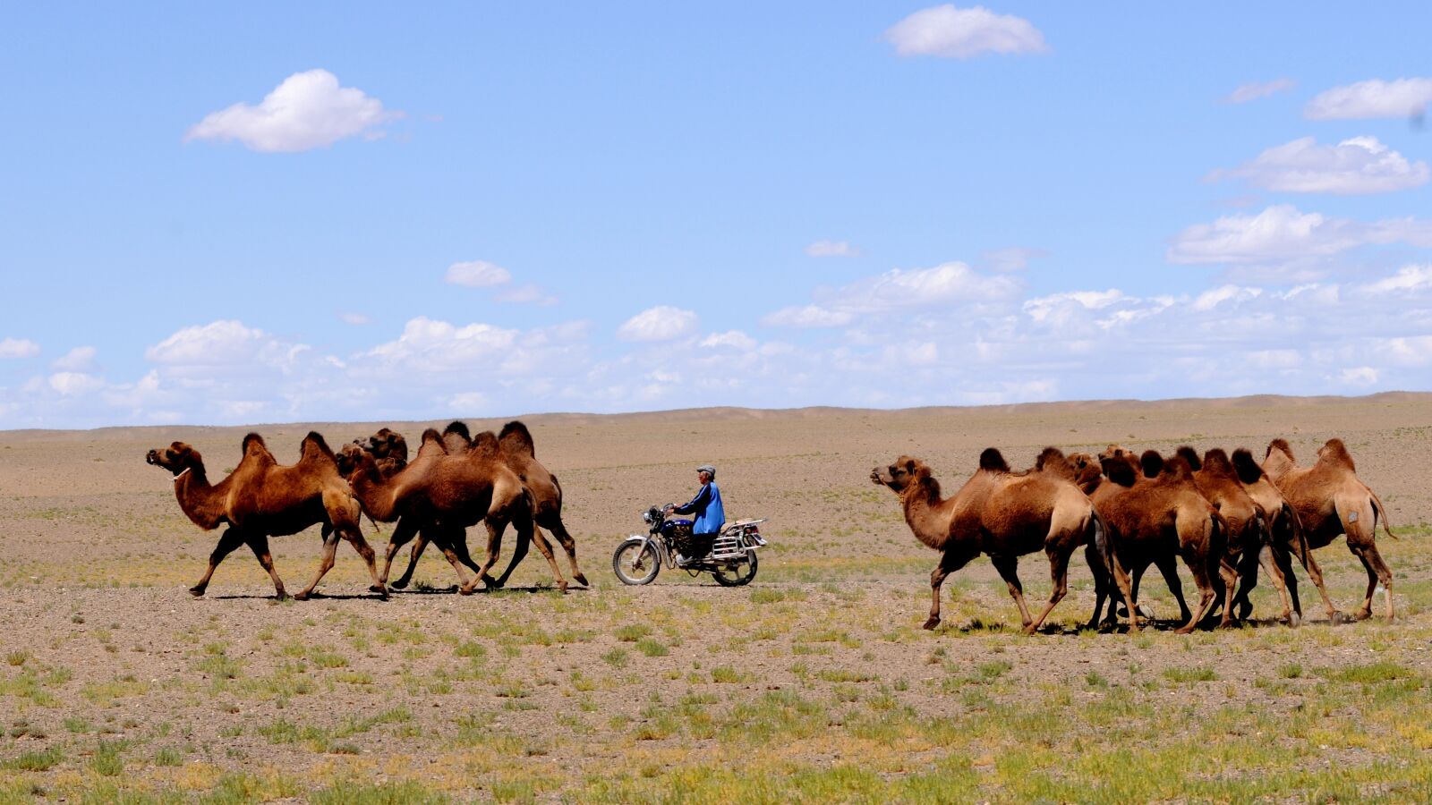 Nikon D300 sample photo. Mongolia, desert, nomad photography