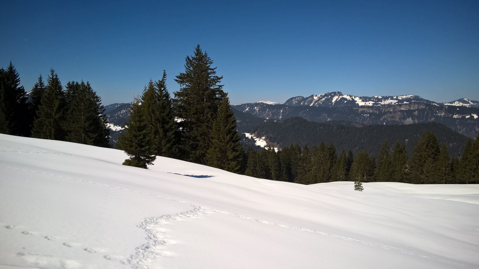 Nokia Lumia 830 sample photo. Snow, mountains, trees photography